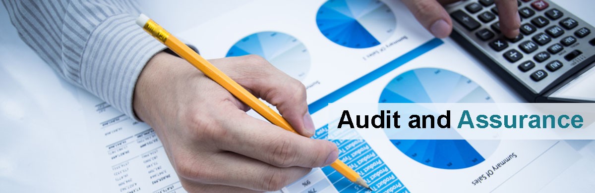 Auditors reviewing statements and compliance data